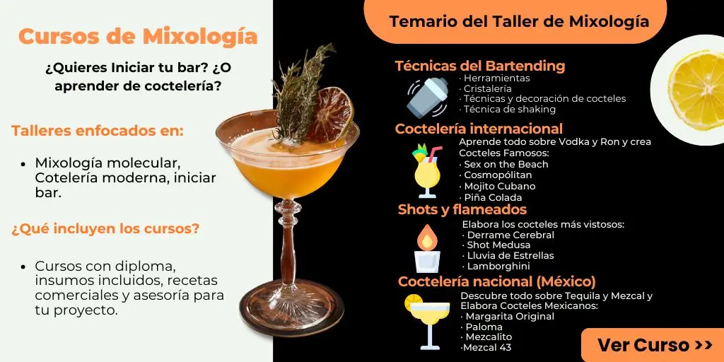 Curso de Mixología